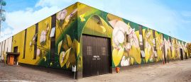 Dado-Polifil-Wharehouse-Castel-Maggiore-Bologna