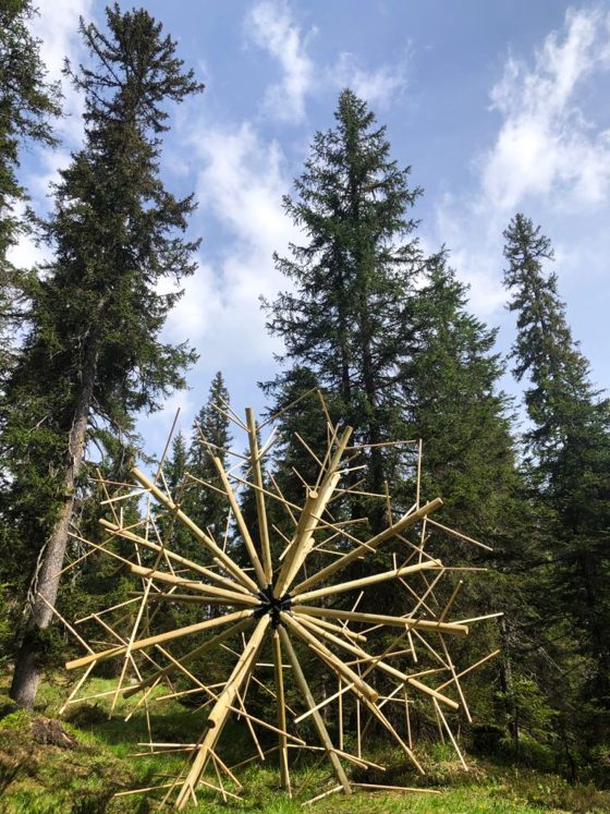 Close view of big wood sculpture, seems to rolling out the forest, composed of clear wood sticks joined together to form a geometrical spherical structure resembling a dandelion. Artwork by Dado