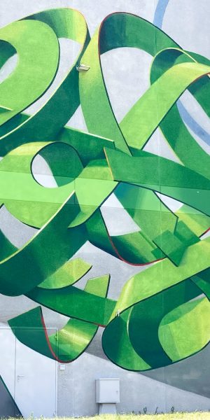 Total view of a mural painting depicting a spherical wildstyle graffiti forming the tag Dado in green tones.