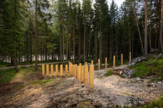 A mountain landscape with a series of tall wooden boards planted in the ground forming a big X in the middle of a grass field with high trees in the background. Sculpture installation by Dado.
