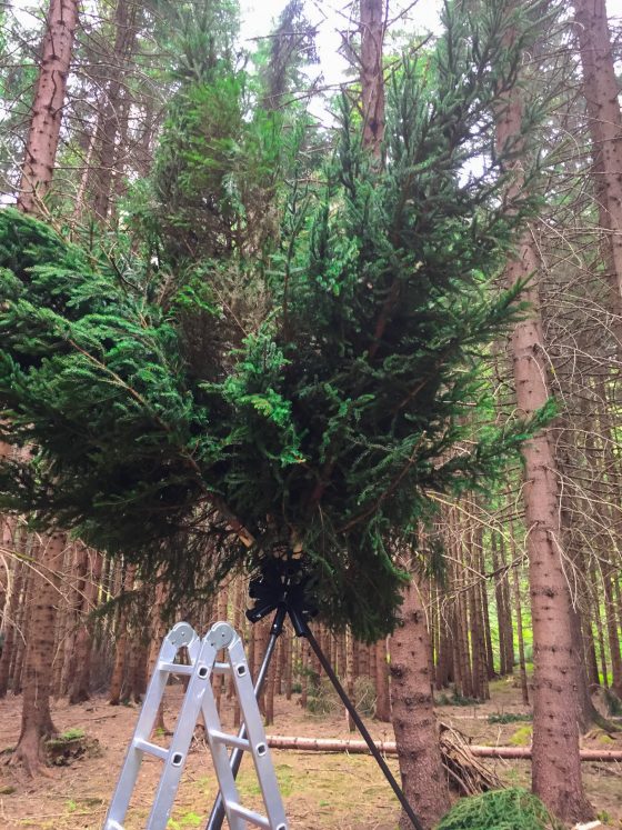 A bunch of fresh cut fir branches are mounted on an iron spherical structure to form a big spherical bush resembling a giant dandelion. Artwork by Dado